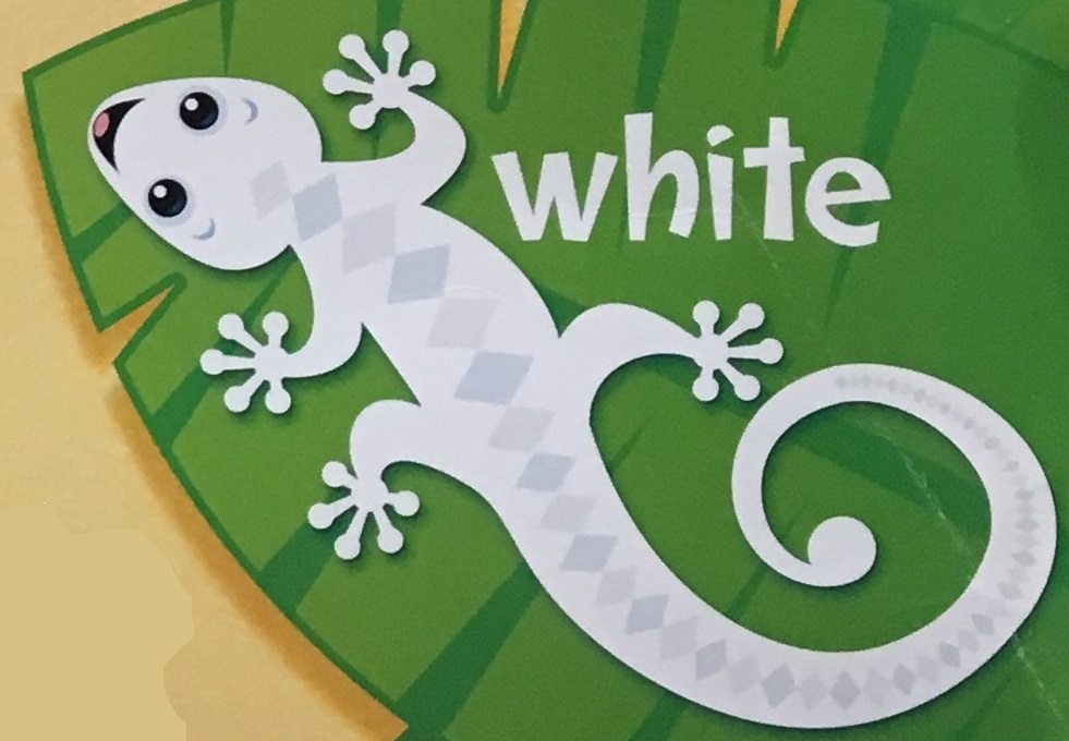 09_white